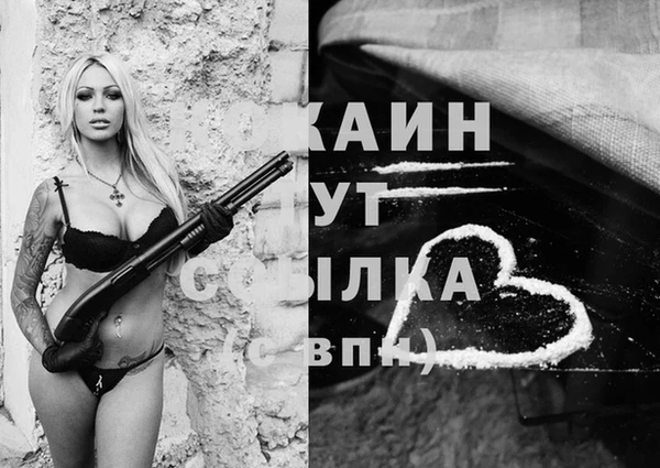 a pvp Аркадак