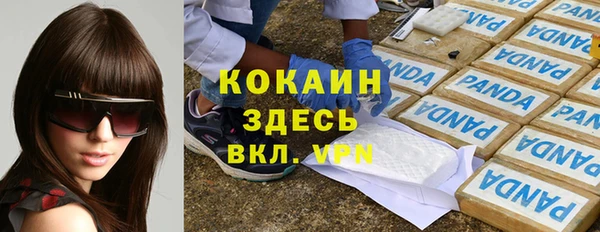 a pvp Аркадак